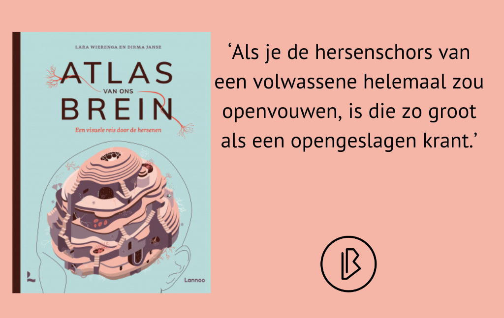 Recensie: Lara Wierenga en Dirma Janse – Atlas van ons brein