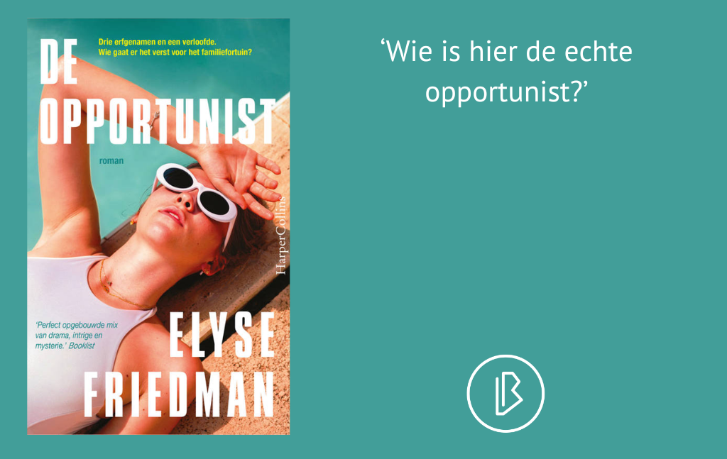 Recensie: Elyse Friedman – De opportunist