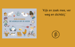 plaatje bij recensie-2