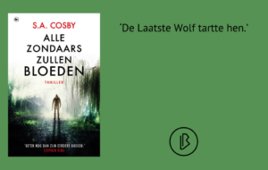 plaatje bij recensie-2. 2png