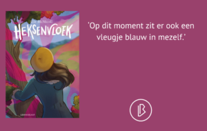 plaatje bij recensie-2