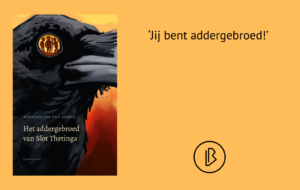 plaatje bij recensie-5