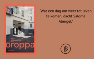 plaatje_bij_recensie_(14)