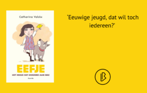 plaatje bij recensie-2