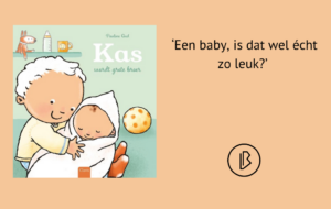 plaatje bij recensie-4