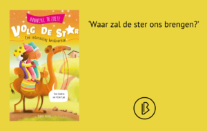 plaatje_bij_recensie_(19)