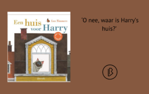 Plaatje Bij Recensie-2 