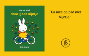 plaatje bij recensie-2