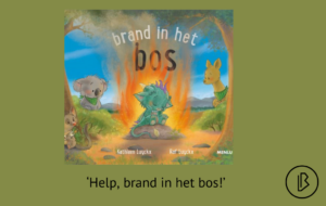 plaatje bij recensie-17