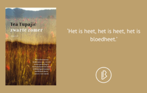 plaatje bij recensie-31