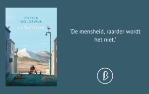 plaatje bij recensie-28