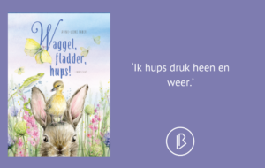 plaatje bij recensie-5