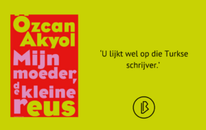 plaatje_bij_recensie (2)