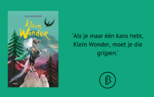 Recensie: Ross Montgomery – Klein wonder klein_wonder