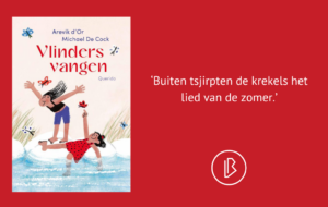 plaatje bij recensie-17