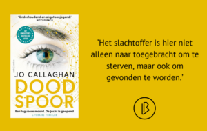 plaatje_bij_recensie_(1)