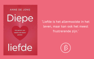 plaatje bij recensie-31